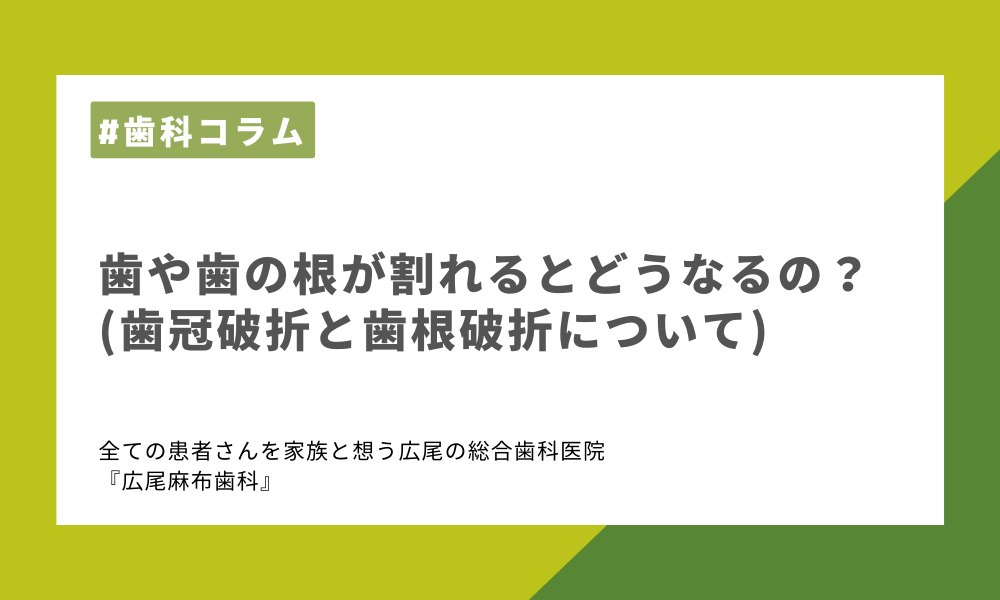 歯や歯の根が割れるとどうなるの？(歯冠破折と歯根破折について)